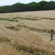 Illustration for article titled New Crop Circles Stun Argentina